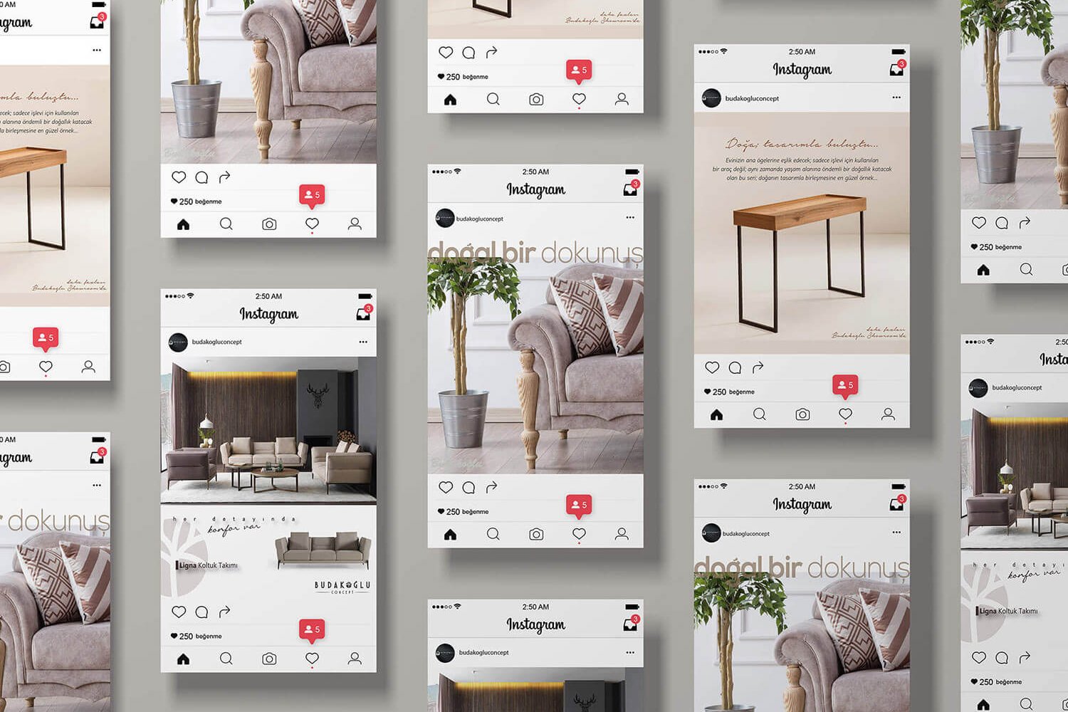 budakoglu concept 88medya 2